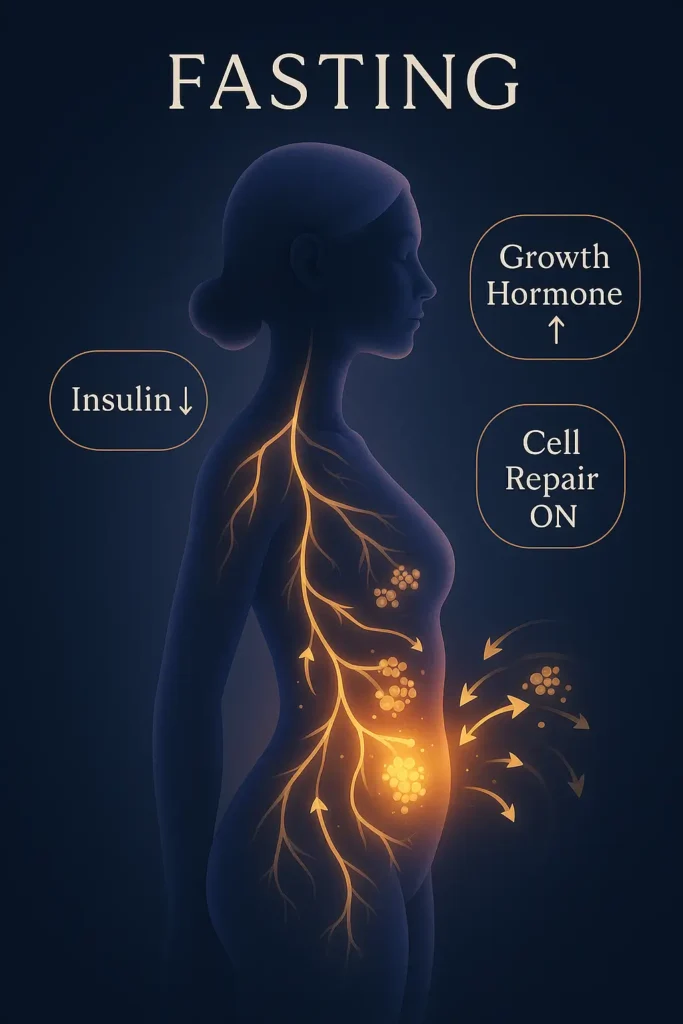 Fasting for Belly Fat Loss